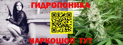 ECSTASY Лесосибирск