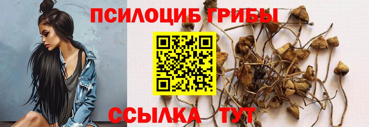 Урюпинск  Галлюциногенные грибы мицелий  Вход с VPN 